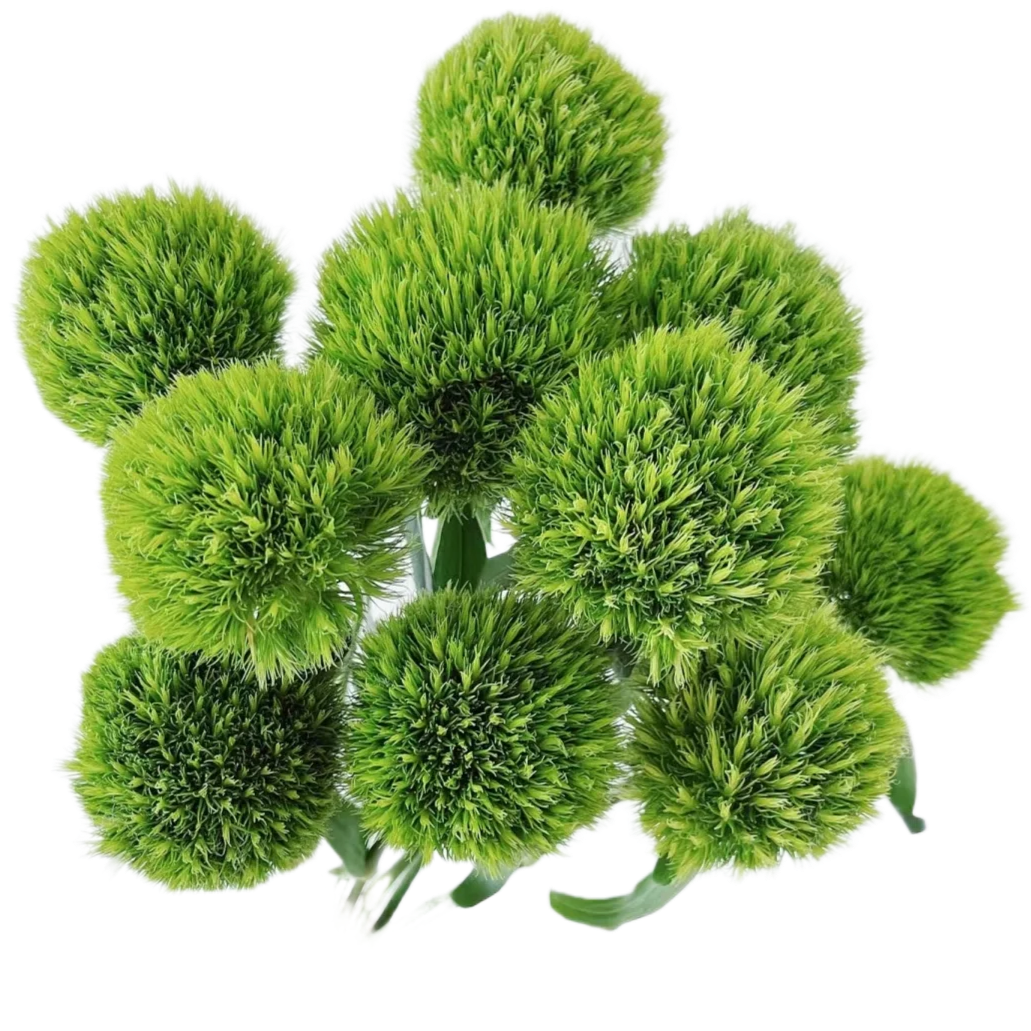 Kiwi Mellow