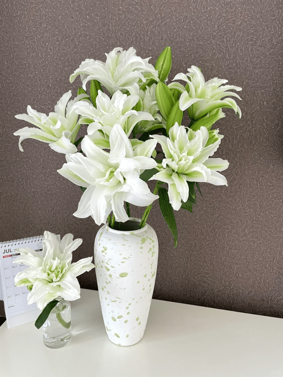 Double Lily Elsa (White)艾莎重瓣 - FOREVERMORE