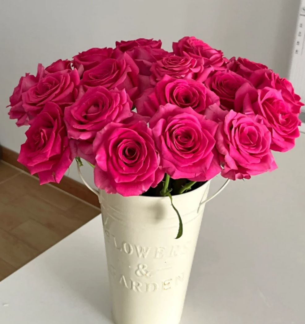 Floyd Roses - Dark Pink 50cm - FOREVERMORE