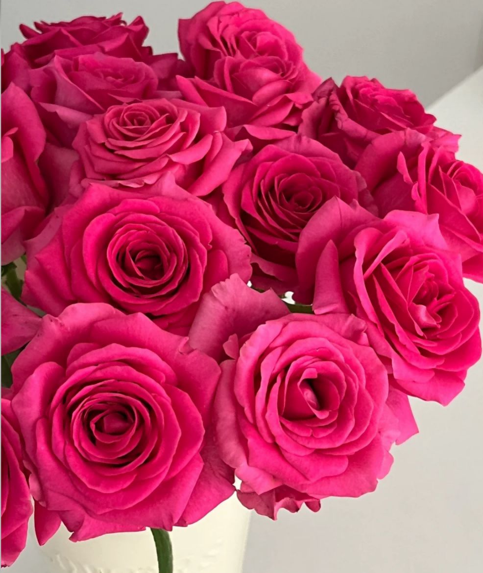 Floyd Roses - Dark Pink 50cm - FOREVERMORE