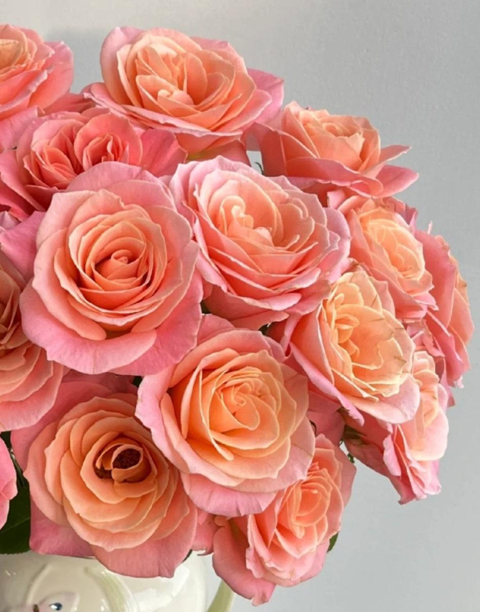 Lady of Shalott orange pink 50cm - FOREVERMORE