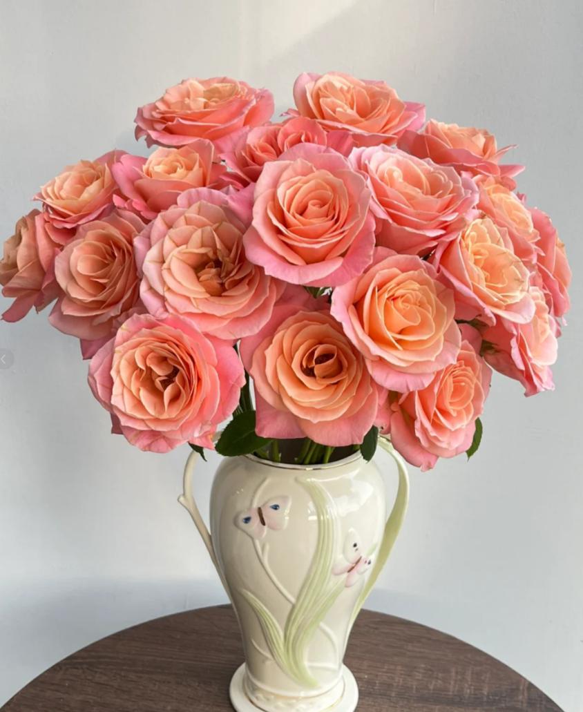 Lady of Shalott orange pink 50cm - FOREVERMORE
