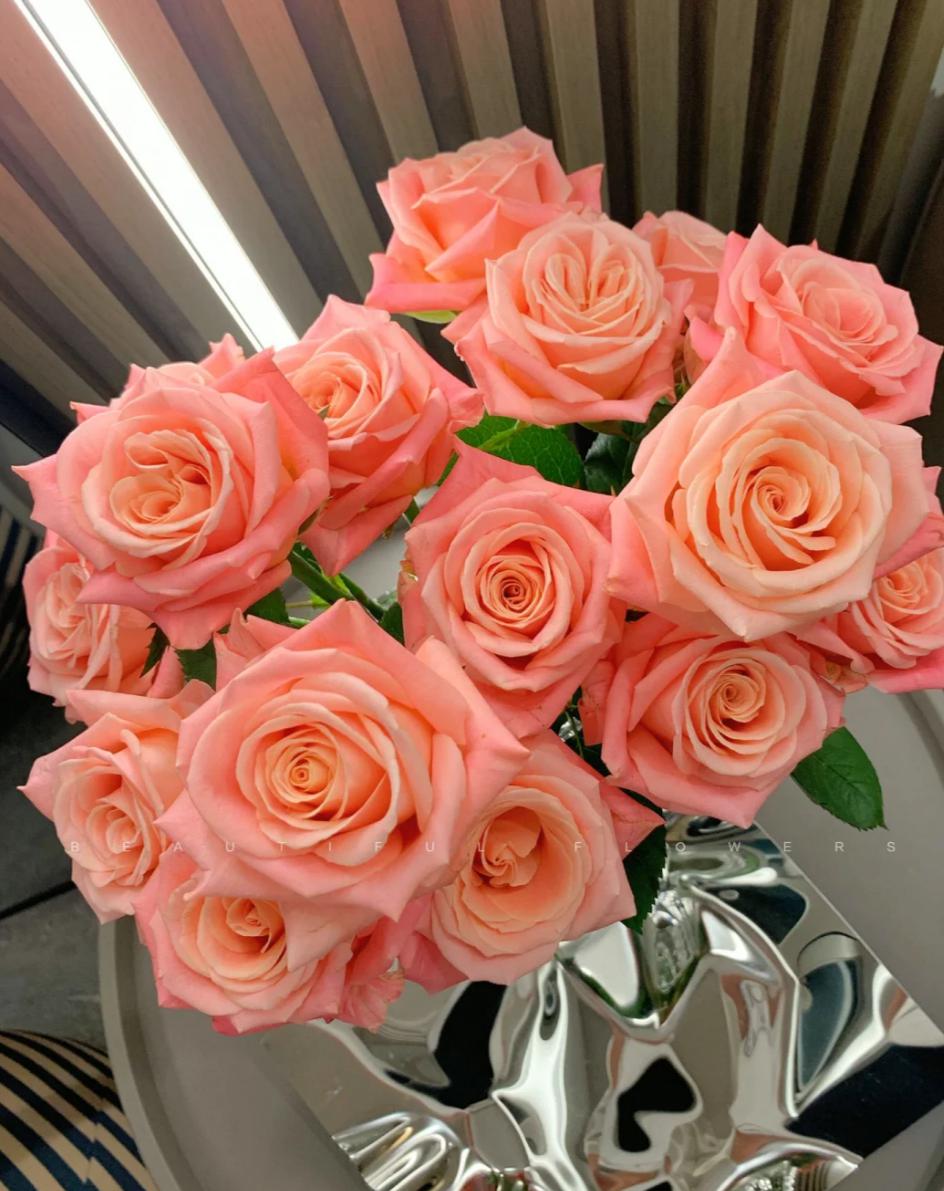 Lady of Shalott orange pink 50cm - FOREVERMORE