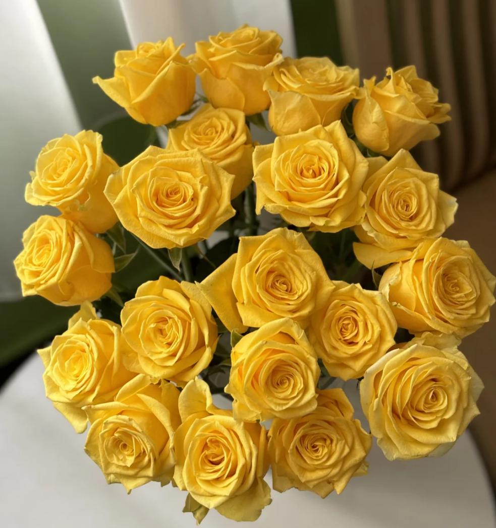 Moonwalk Yellow Roses 50cm - FOREVERMORE