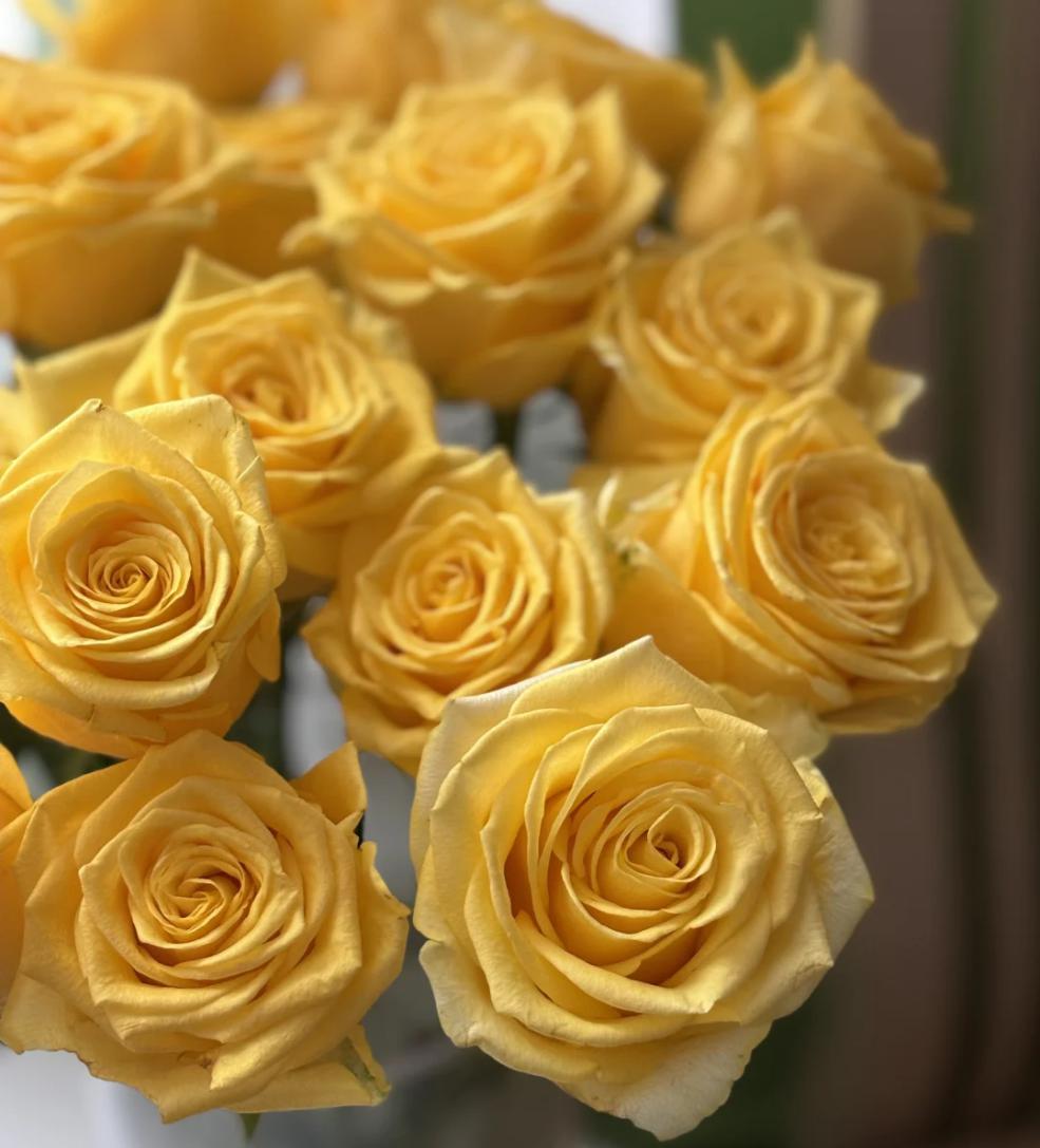 Moonwalk Yellow Roses 50cm - FOREVERMORE