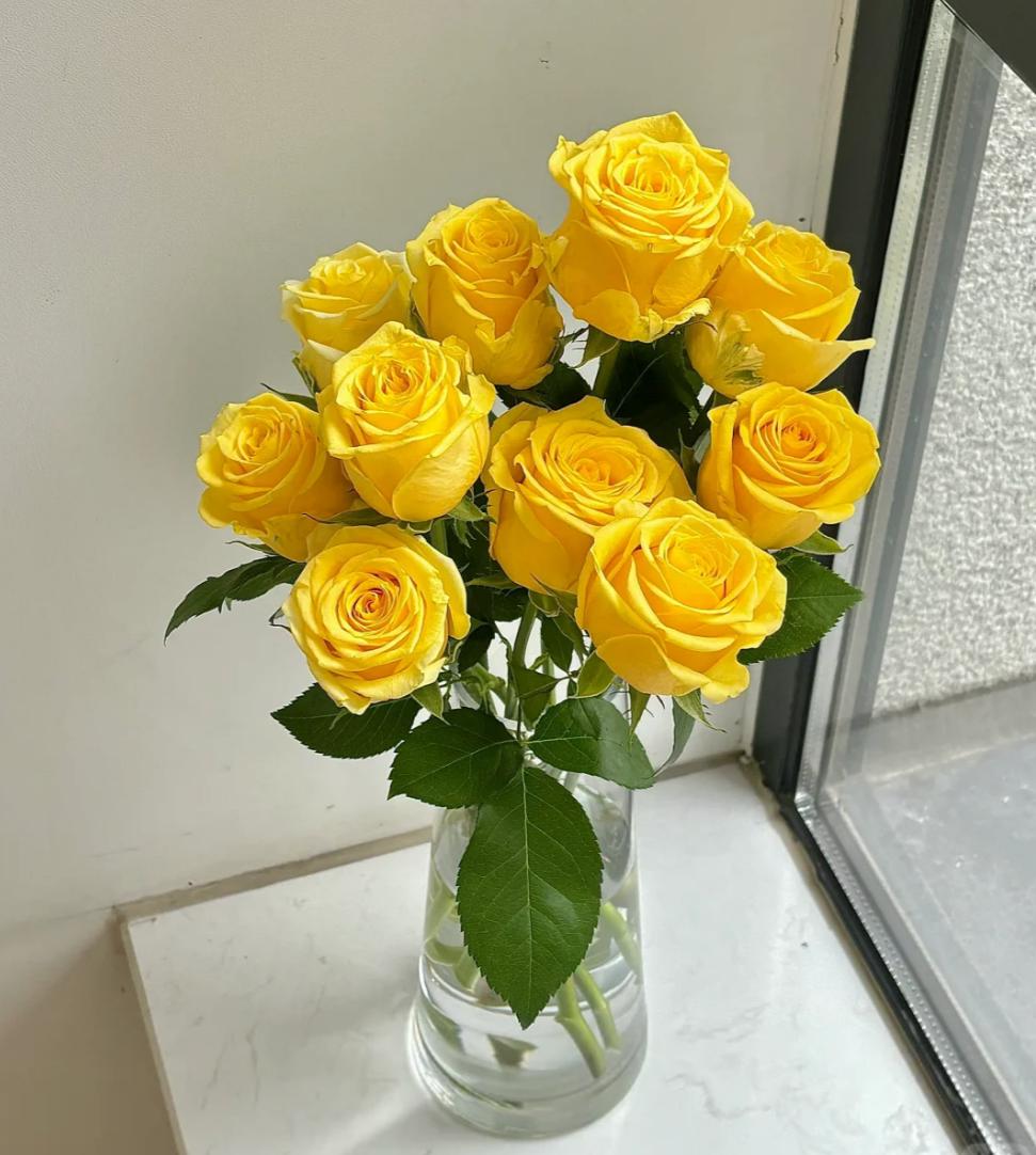 Moonwalk Yellow Roses 50cm - FOREVERMORE