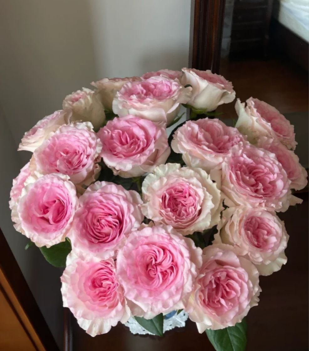 Pink Mondial Roses 50cm - FOREVERMORE