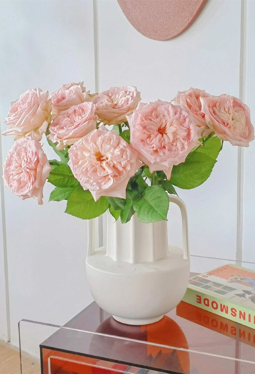 Pink O'Hara 50cm - FOREVERMORE