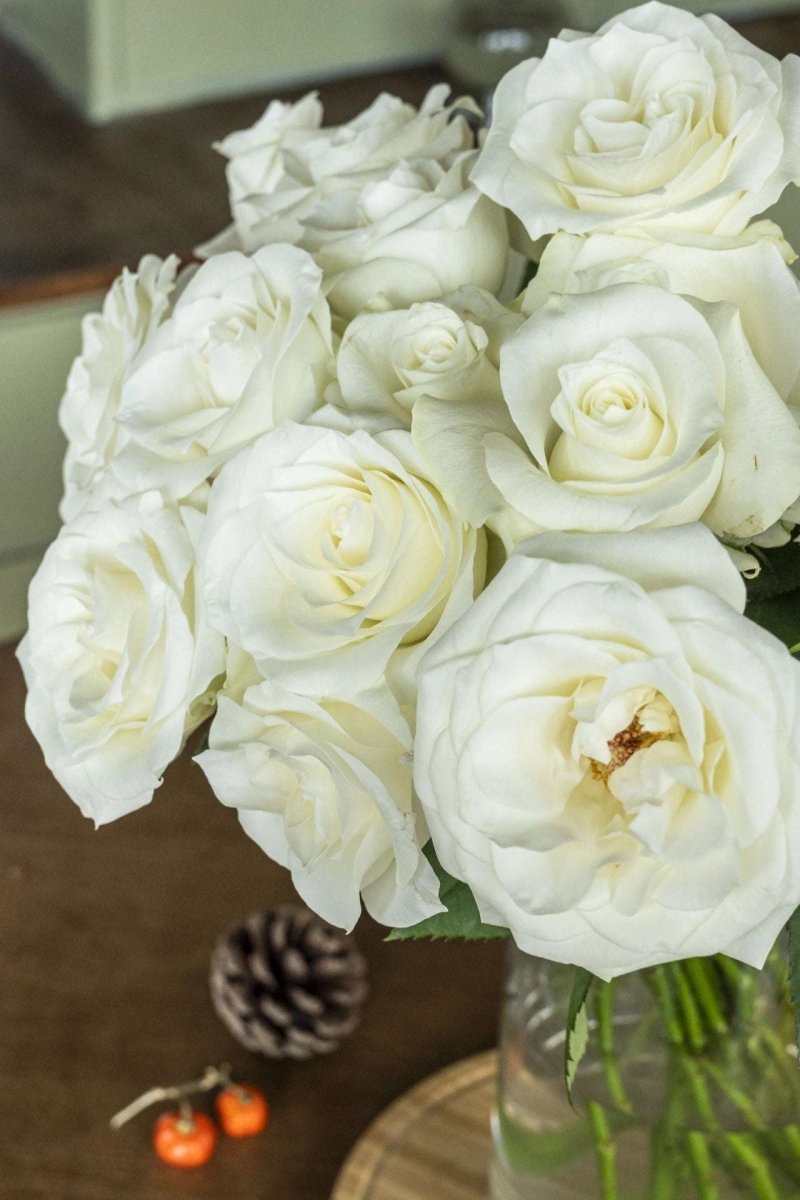 Proud Rose white 50cm - FOREVERMORE