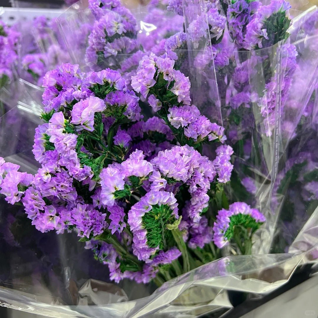 Statice Light Purple勿忘我浅紫 - FOREVERMORE