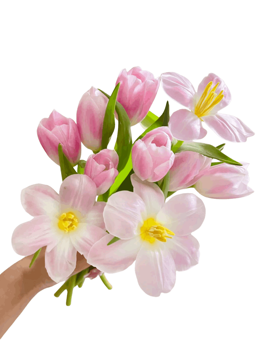 Tulip Pink - FOREVERMORE